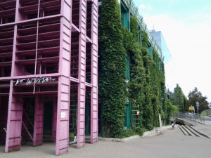 Wyświetl duże zdjęcie