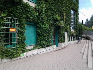 Wyświetl duże zdjęcie