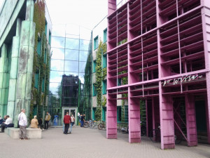 Wyświetl duże zdjęcie