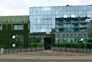 Wyświetl duże zdjęcie